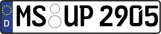 MS-UP2905