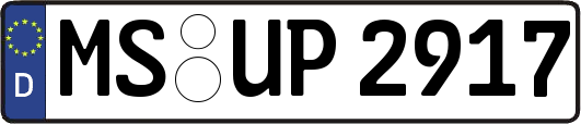 MS-UP2917
