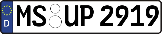 MS-UP2919