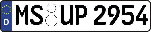 MS-UP2954