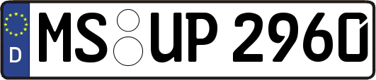 MS-UP2960