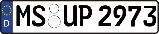 MS-UP2973