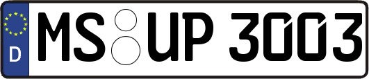 MS-UP3003