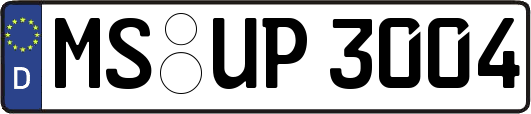 MS-UP3004