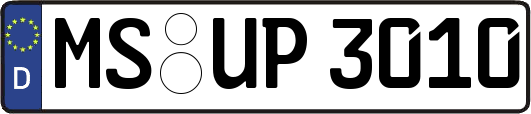 MS-UP3010