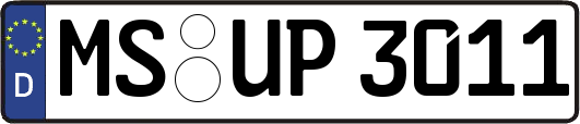 MS-UP3011