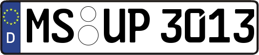 MS-UP3013
