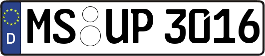 MS-UP3016