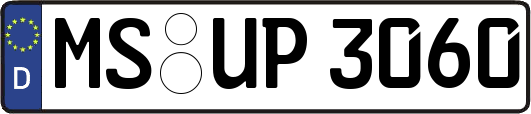 MS-UP3060
