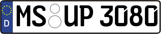 MS-UP3080
