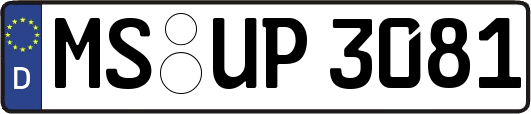 MS-UP3081