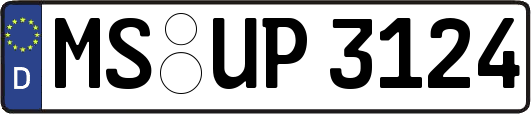 MS-UP3124