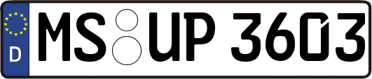 MS-UP3603