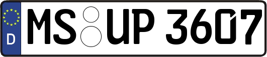 MS-UP3607
