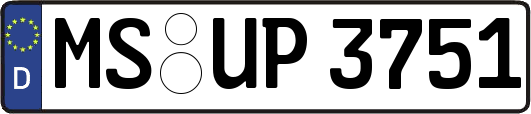 MS-UP3751