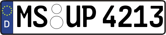 MS-UP4213
