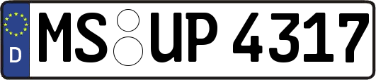 MS-UP4317