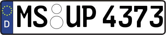 MS-UP4373
