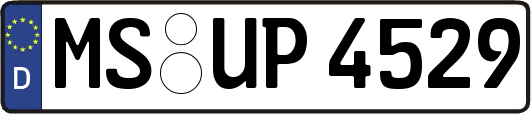 MS-UP4529
