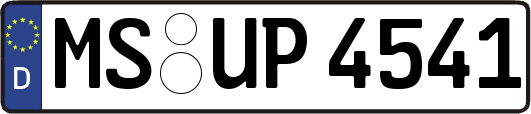 MS-UP4541