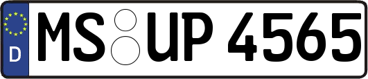 MS-UP4565