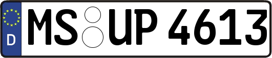 MS-UP4613