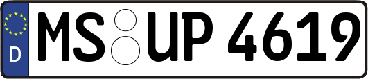 MS-UP4619