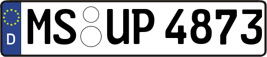 MS-UP4873