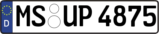 MS-UP4875