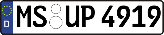 MS-UP4919