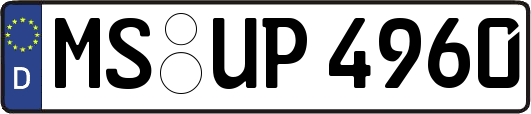 MS-UP4960