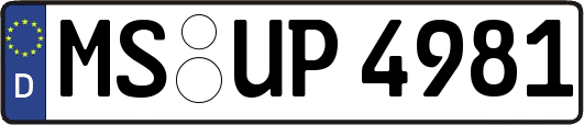 MS-UP4981