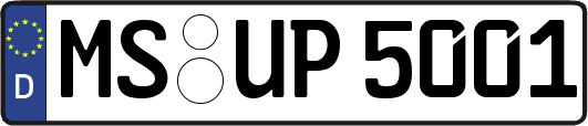 MS-UP5001