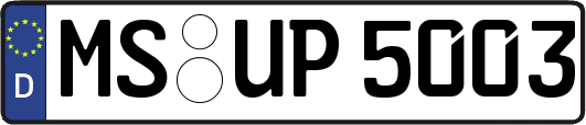 MS-UP5003