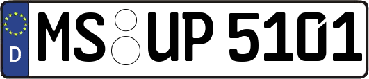 MS-UP5101