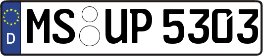 MS-UP5303