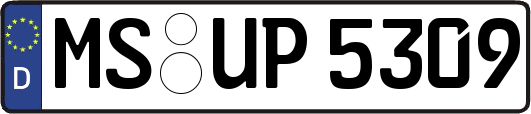 MS-UP5309
