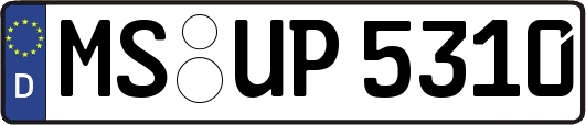 MS-UP5310
