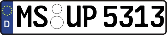 MS-UP5313