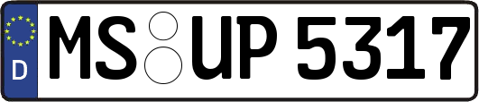 MS-UP5317