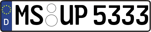 MS-UP5333