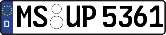 MS-UP5361