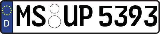 MS-UP5393