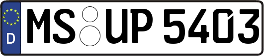 MS-UP5403