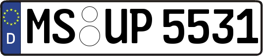 MS-UP5531