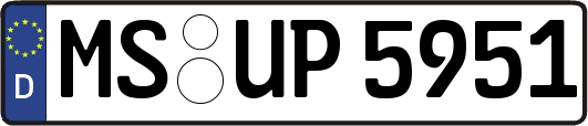 MS-UP5951