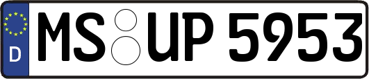 MS-UP5953