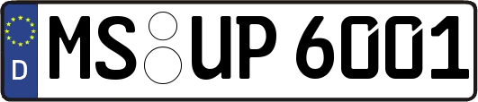 MS-UP6001