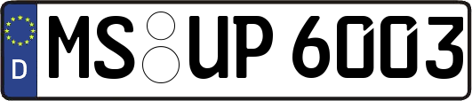 MS-UP6003