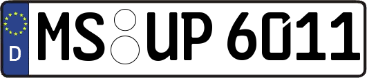 MS-UP6011